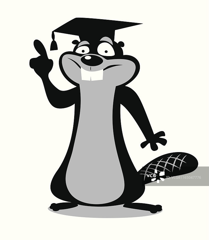 聪明的海狸图片素材