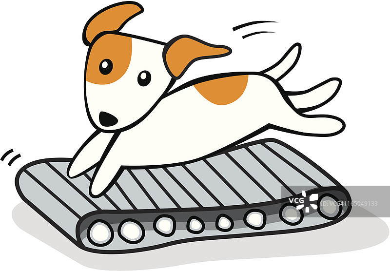 跑步机上的狗图片素材