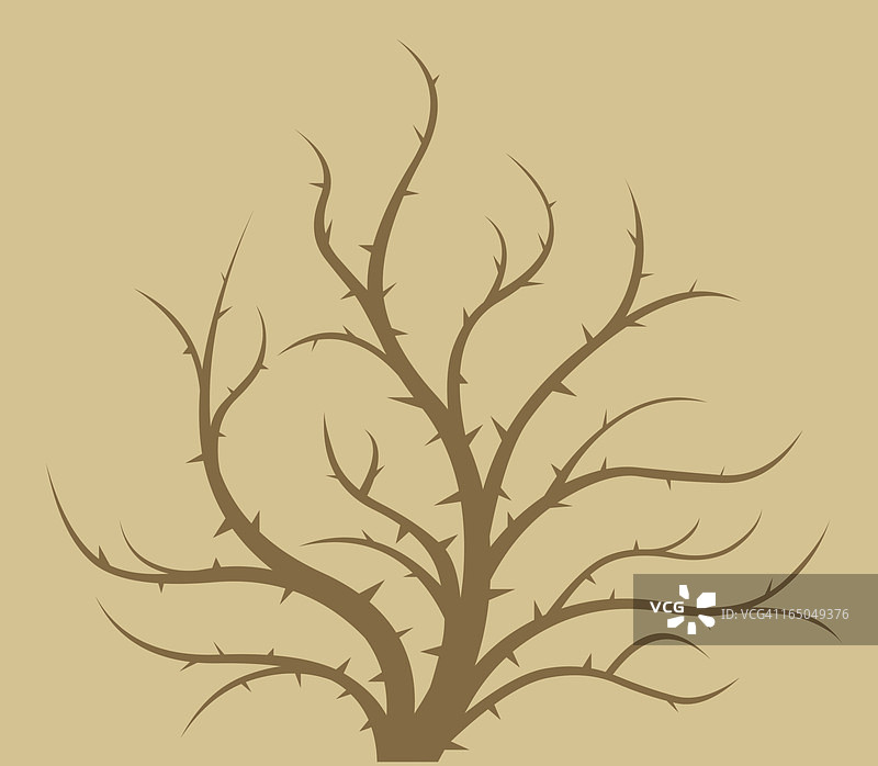 荆棘枝图片素材