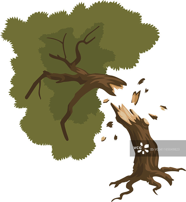 切半的树木图片素材