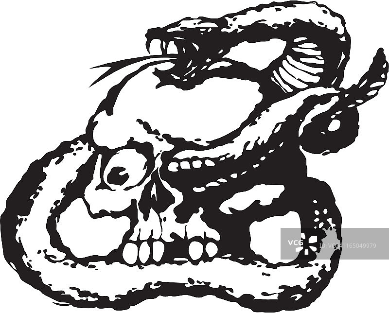 蛇在骷髅上爬行图片素材