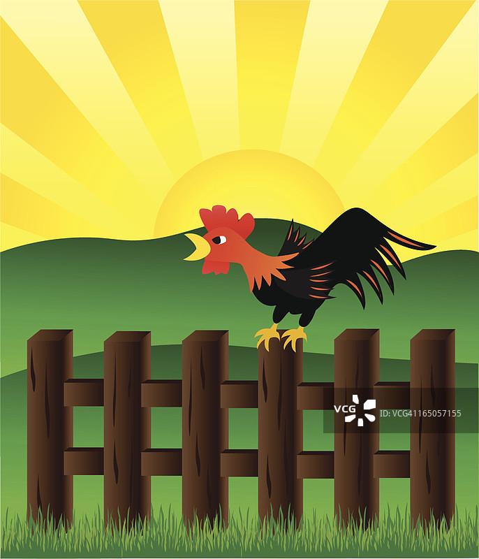 公鸡图片素材