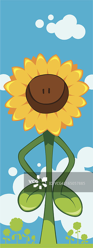 向日葵图片素材