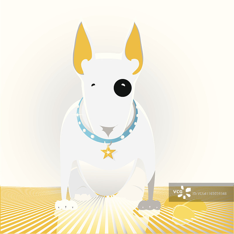 金色幼犬图片素材