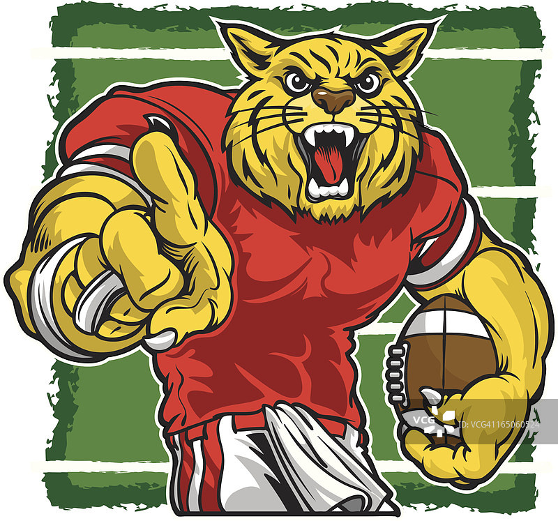 野猫橄榄球图片素材