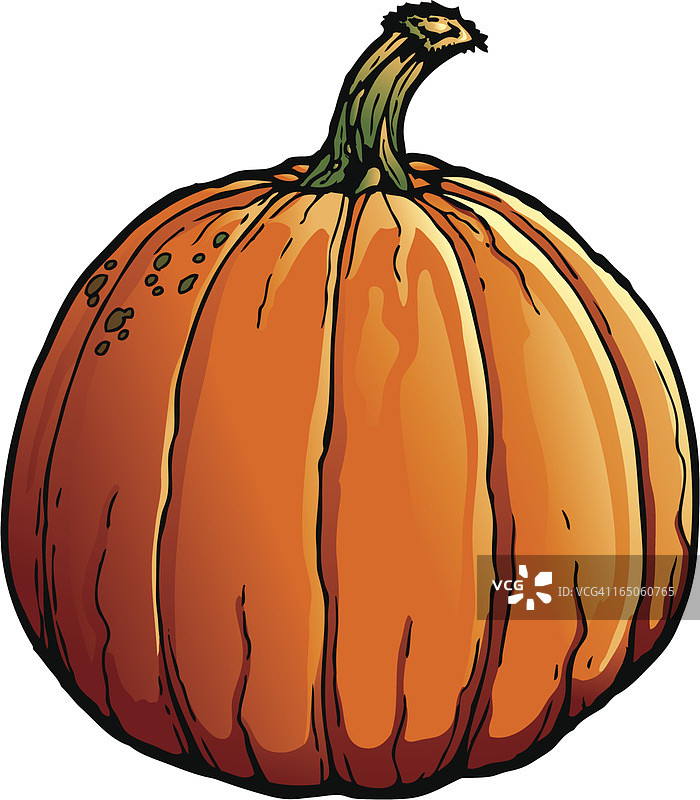 南瓜图片素材