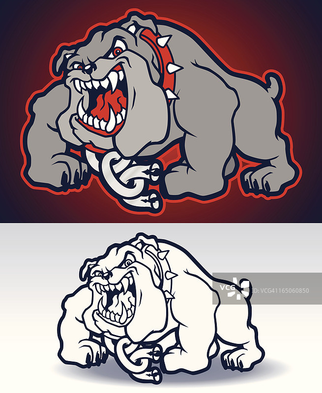 斗牛犬全身照图片素材