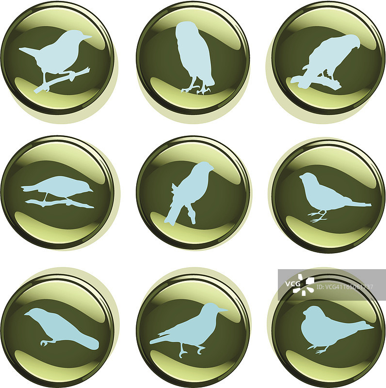 鸟类徽章图片素材