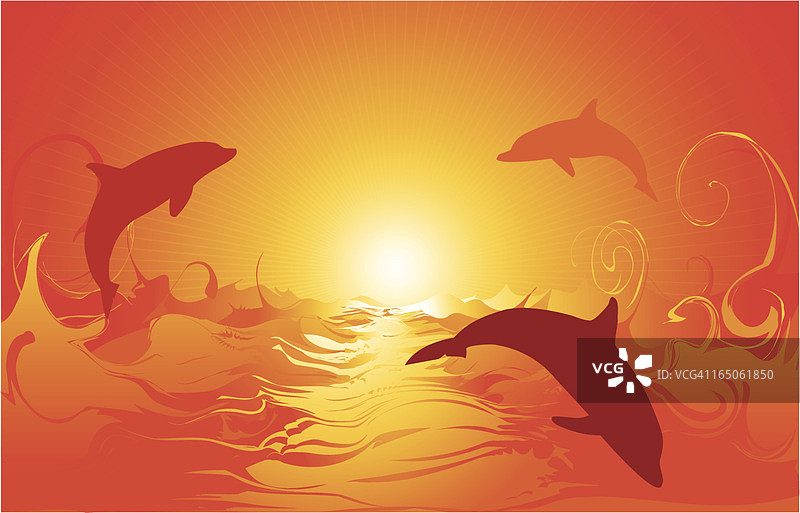 日出海豚图片素材