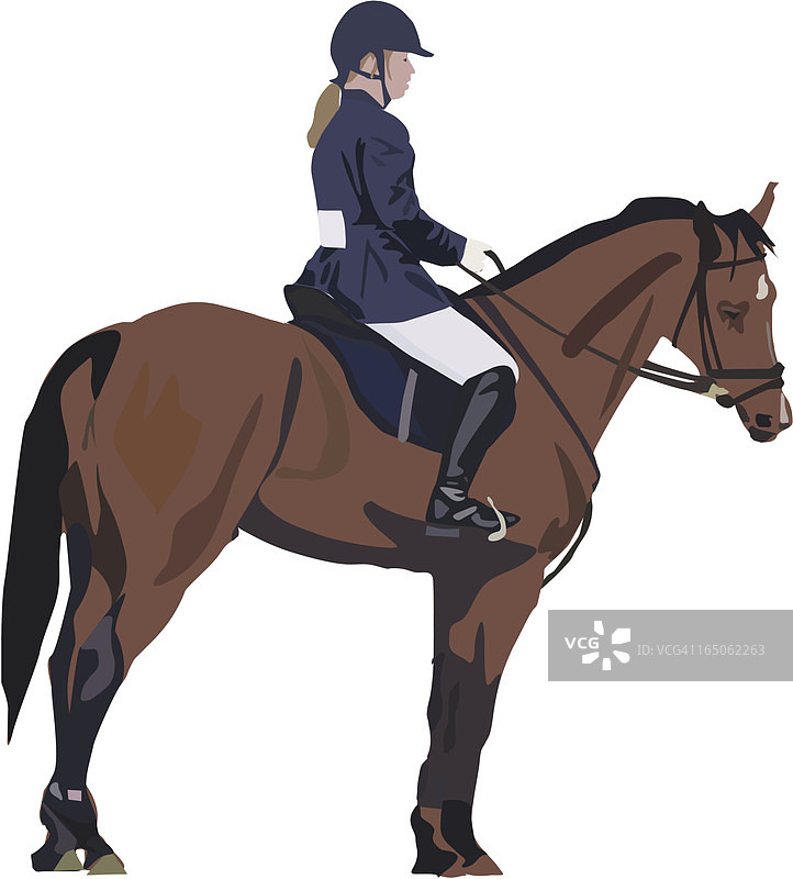 立正（矢量图，马，骑行，骑手）图片素材