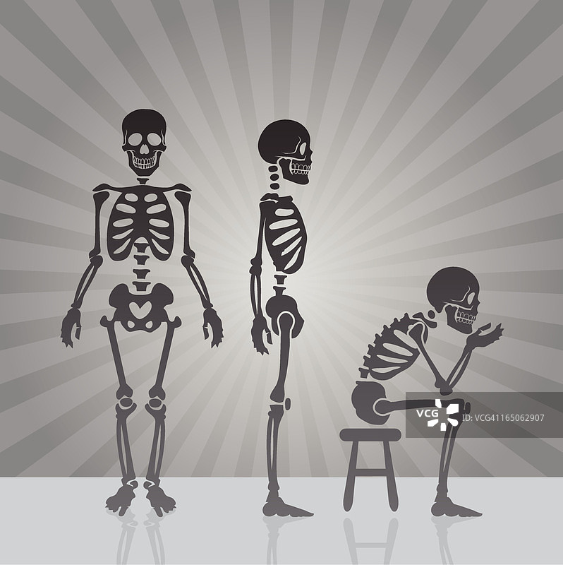 骨骼视图图片素材