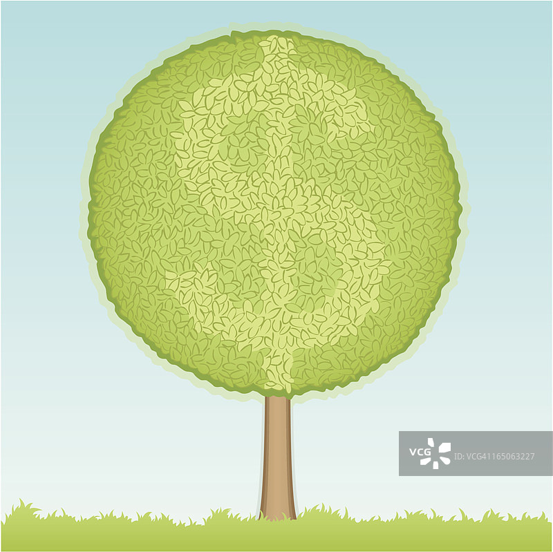 金钱树图片素材