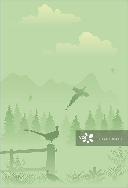 绿色的风景图片素材