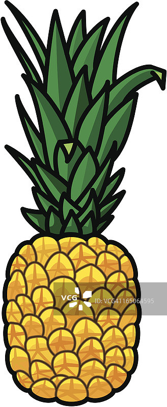菠萝图片素材