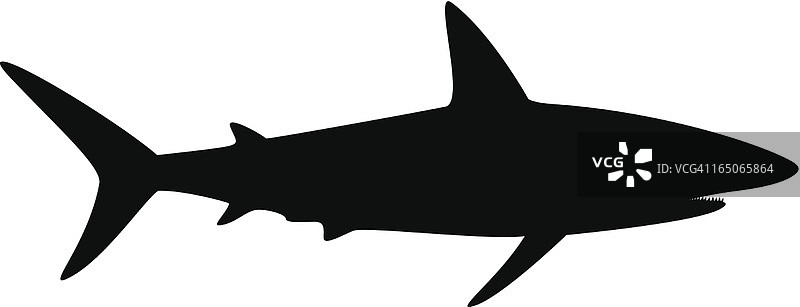 鲨鱼轮廓图片素材