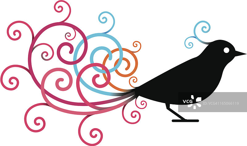 华丽的鸟图片素材