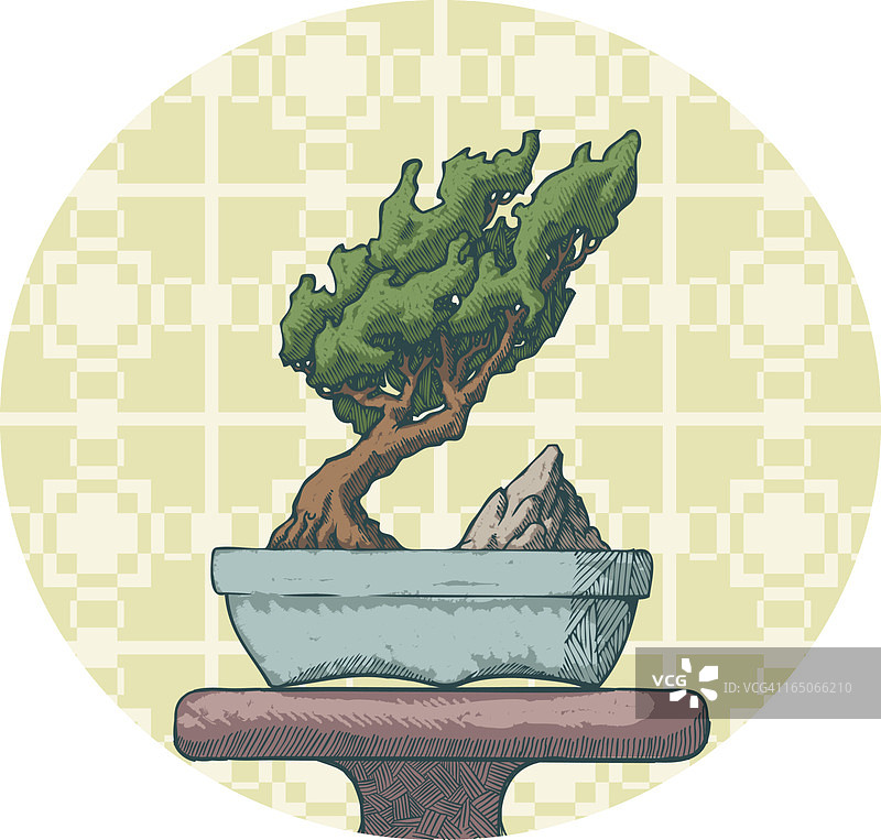 盆景展示图片素材