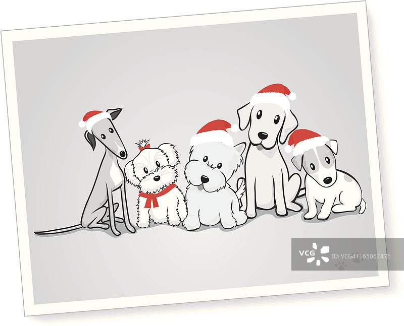 戴圣诞帽的狗群图片素材