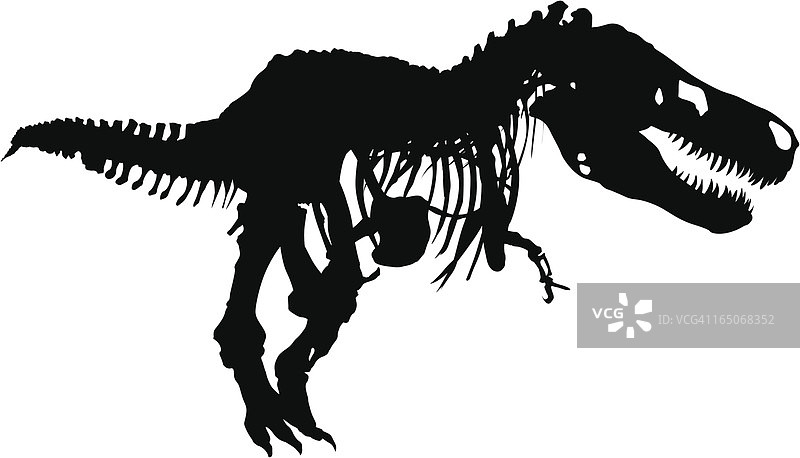 矢量恐龙骨架图片素材