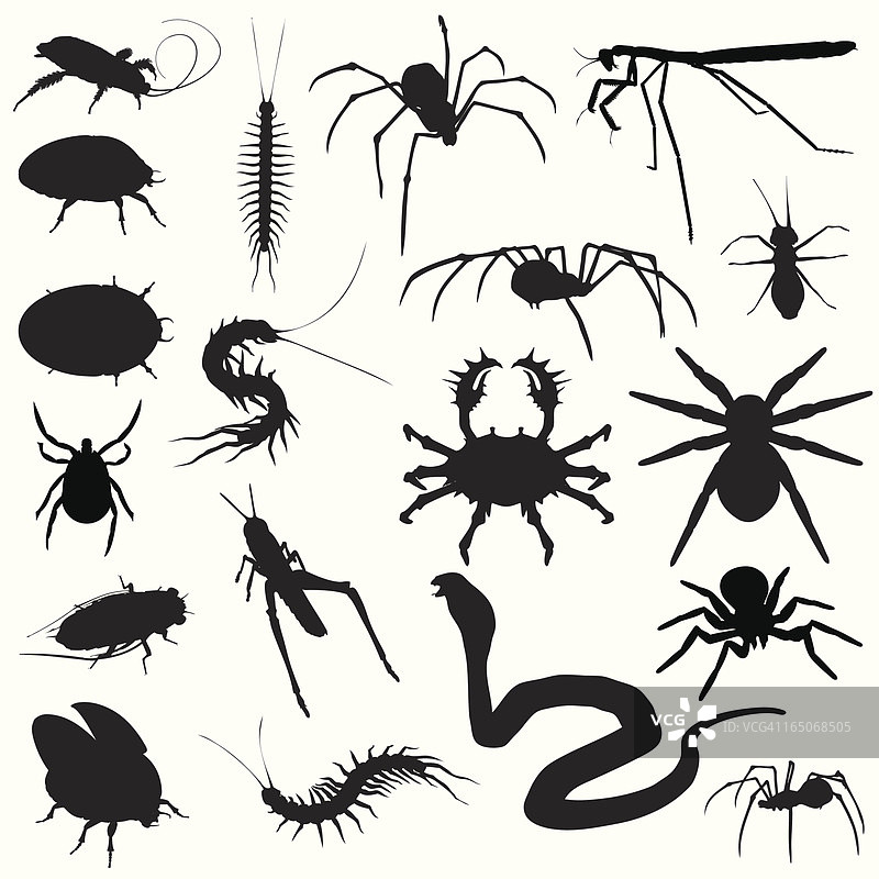 令人毛骨悚然的爬行动物！虫子、蜘蛛、蛇图片素材