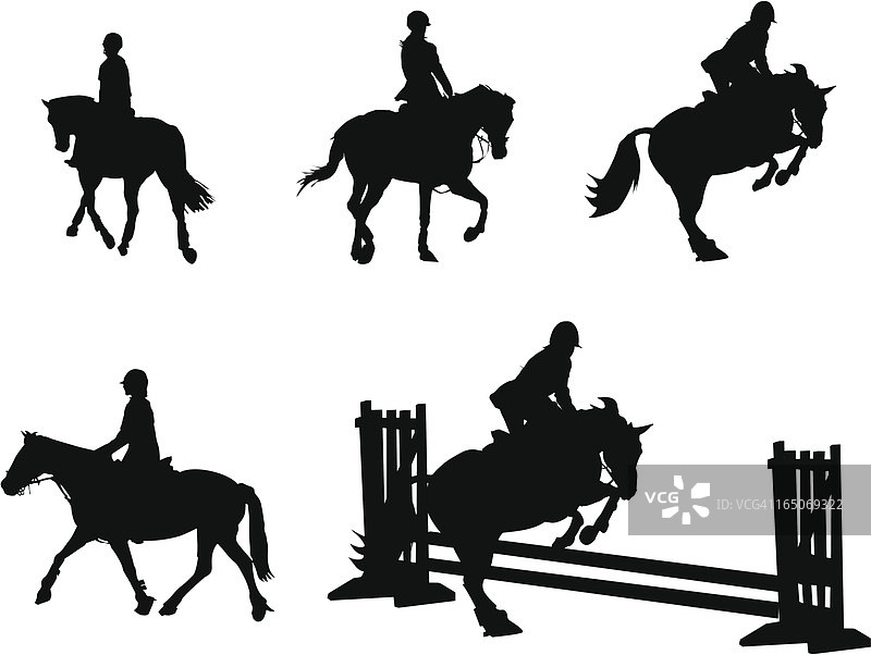 马的轮廓剪影（矢量图）图片素材