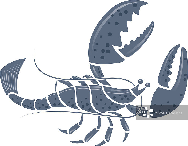 龙虾图片素材