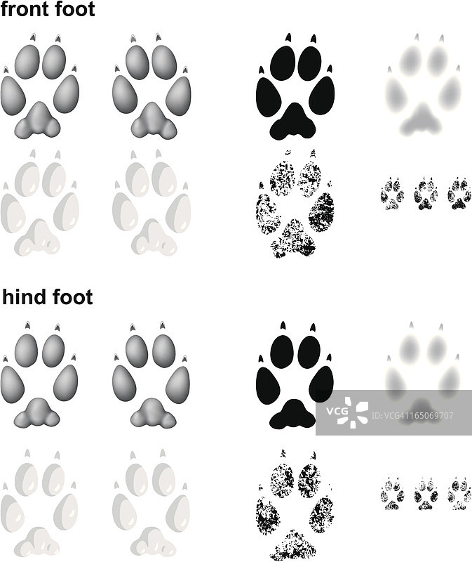 狐狸脚印图片素材