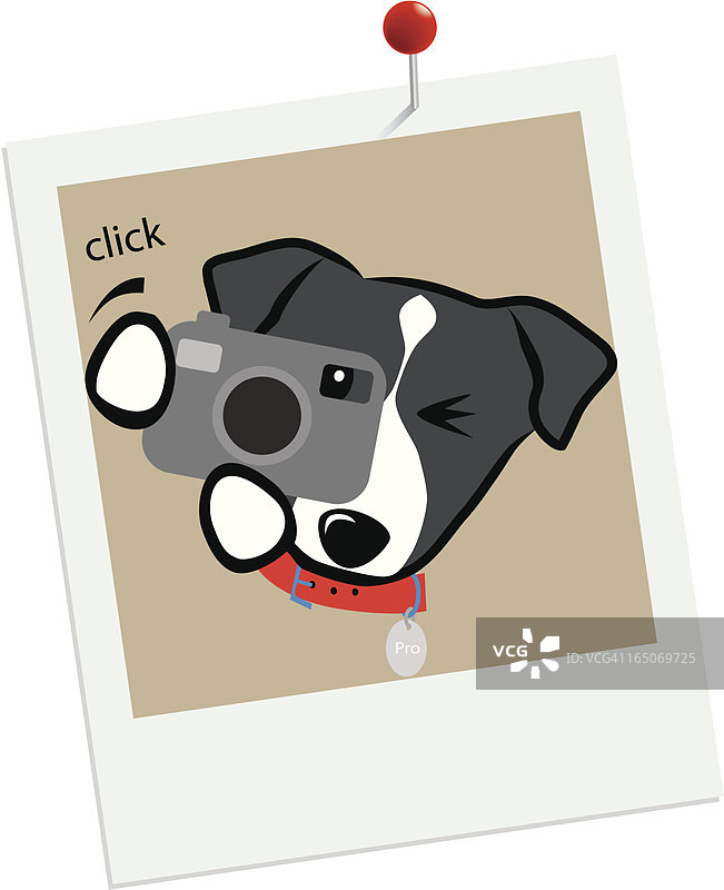 专业摄影师图片素材