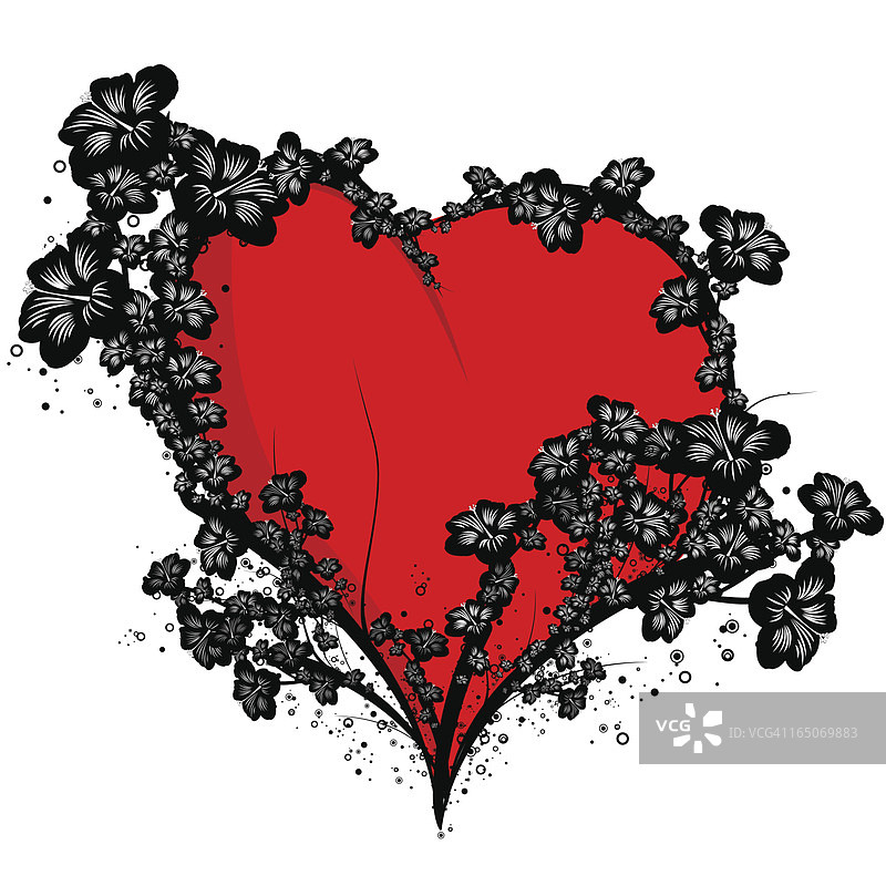 芙蓉花心图片素材