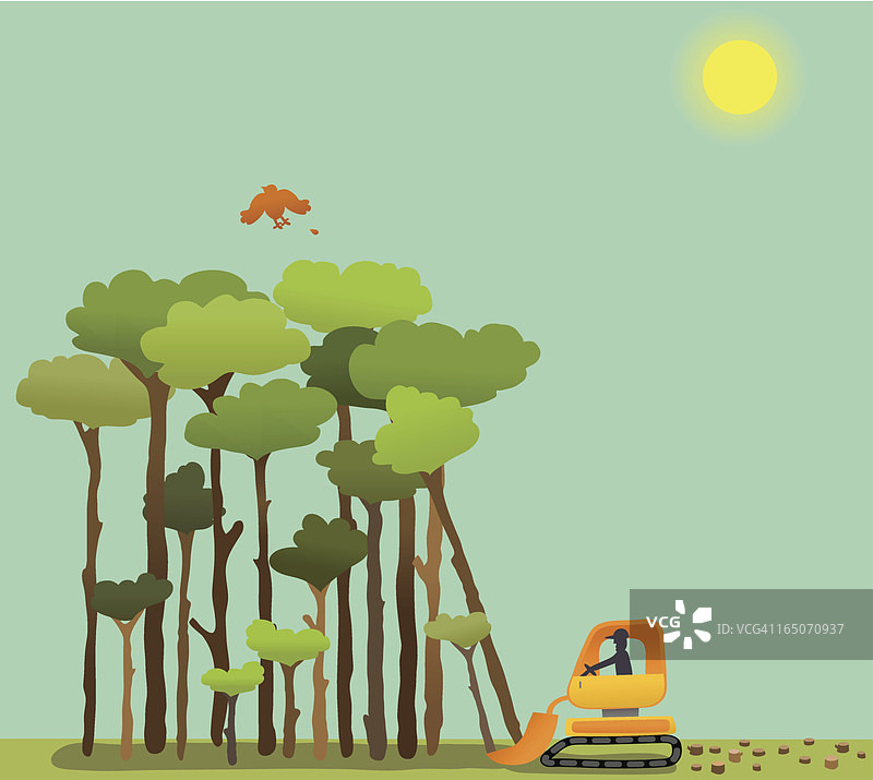 森林砍伐图片素材