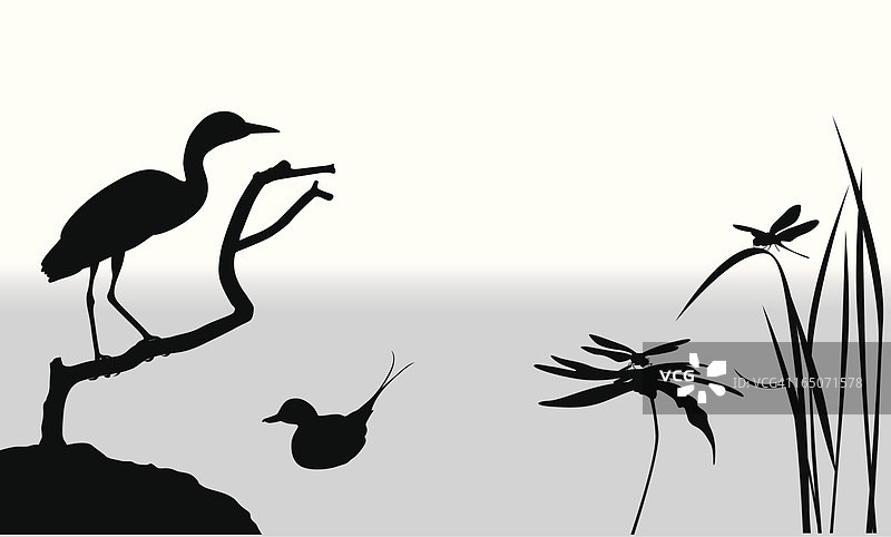 湿地矢量剪影图片素材