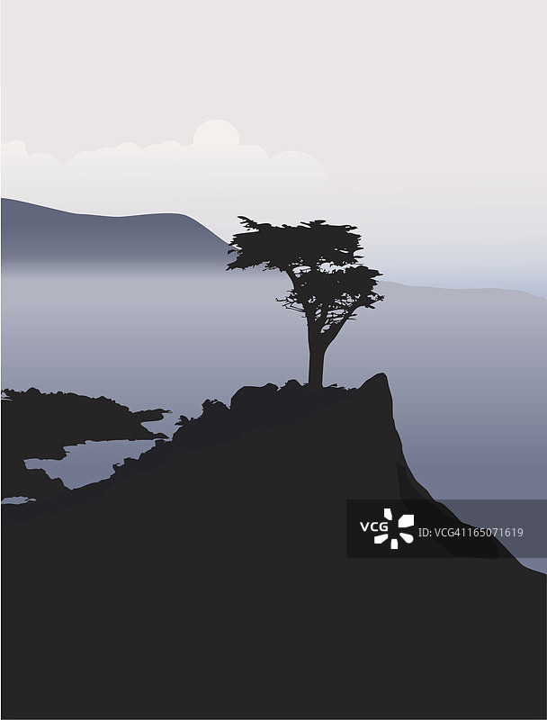 雾中山上的柏树图片素材