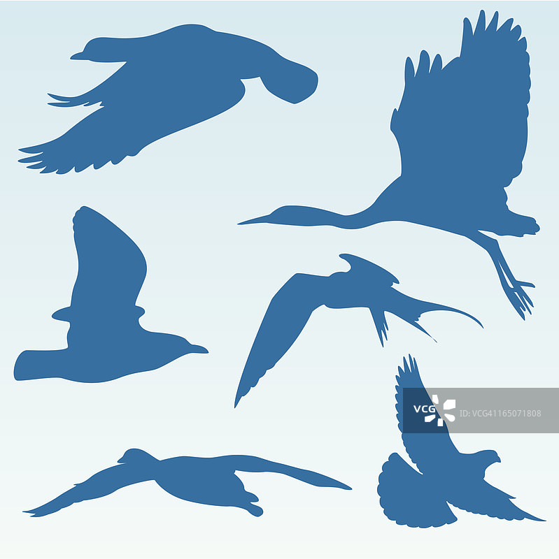 飞鸟群剪影图片素材
