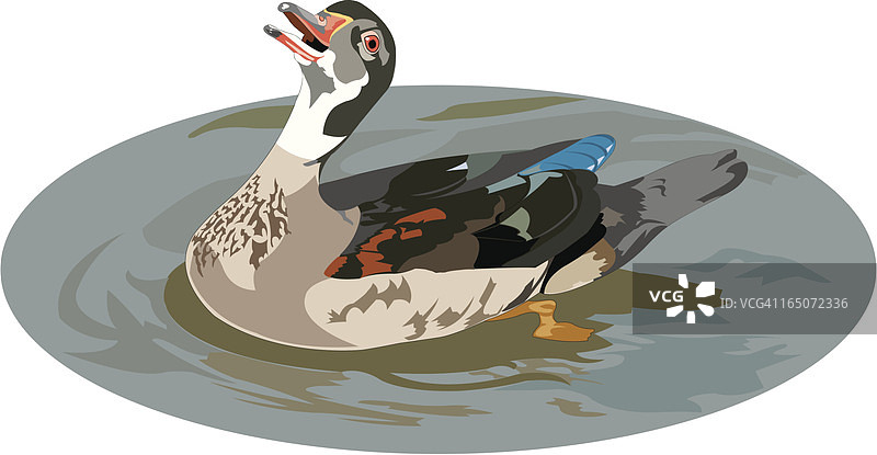 笑着的鸭子图片素材