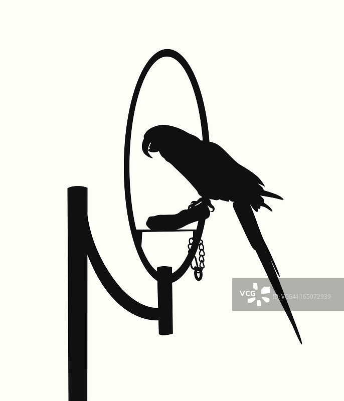 鹦鹉矢量剪影图片素材