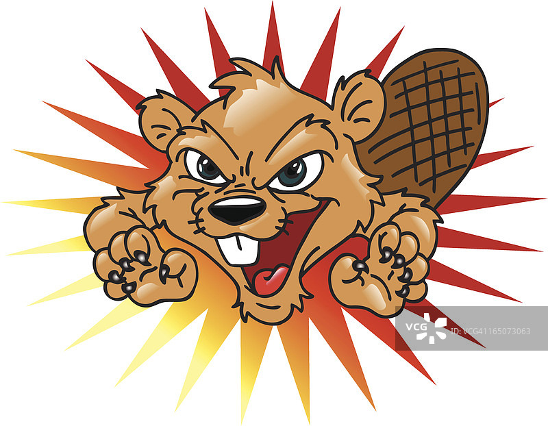 海狸！图片素材