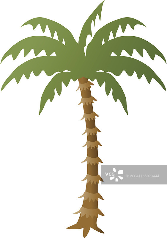 简单的棕榈树矢量图形图片素材