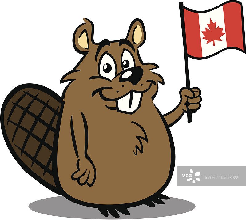 海狸手持加拿大国旗图片素材