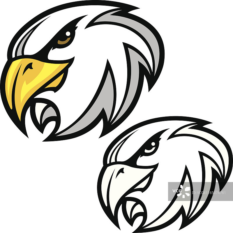 老鹰头部 II图片素材