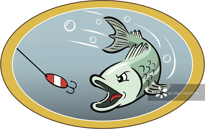 追逐诱饵的饥饿的鱼图片素材