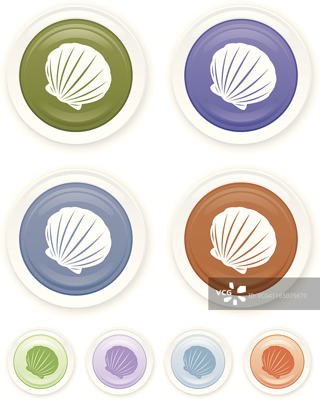 贝类生物光面图标图片素材