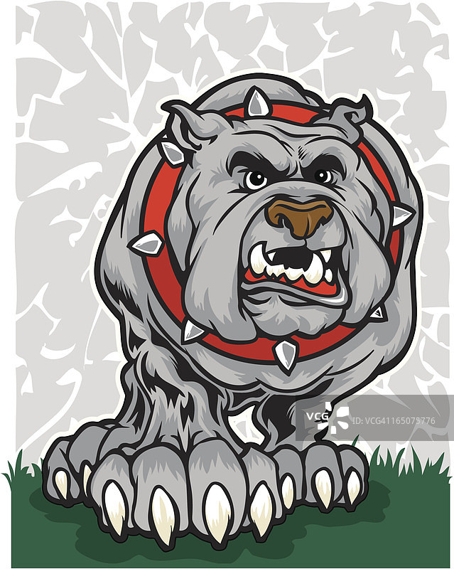 蛮横的斗牛犬图片素材