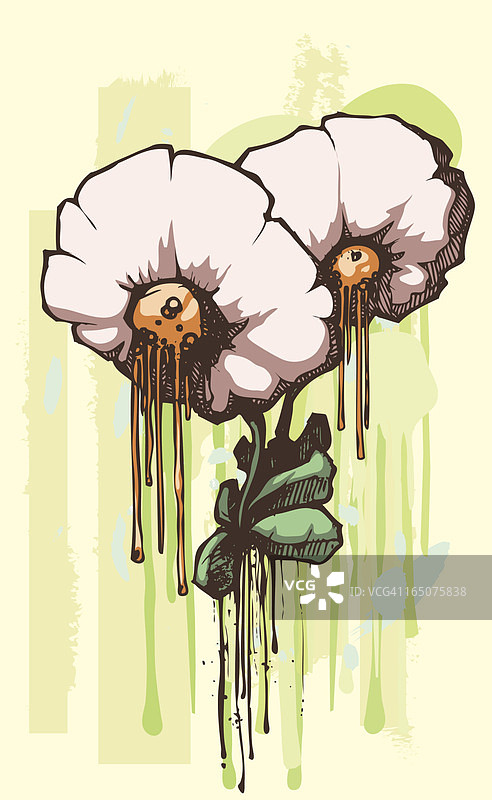 滴水的雏菊图片素材