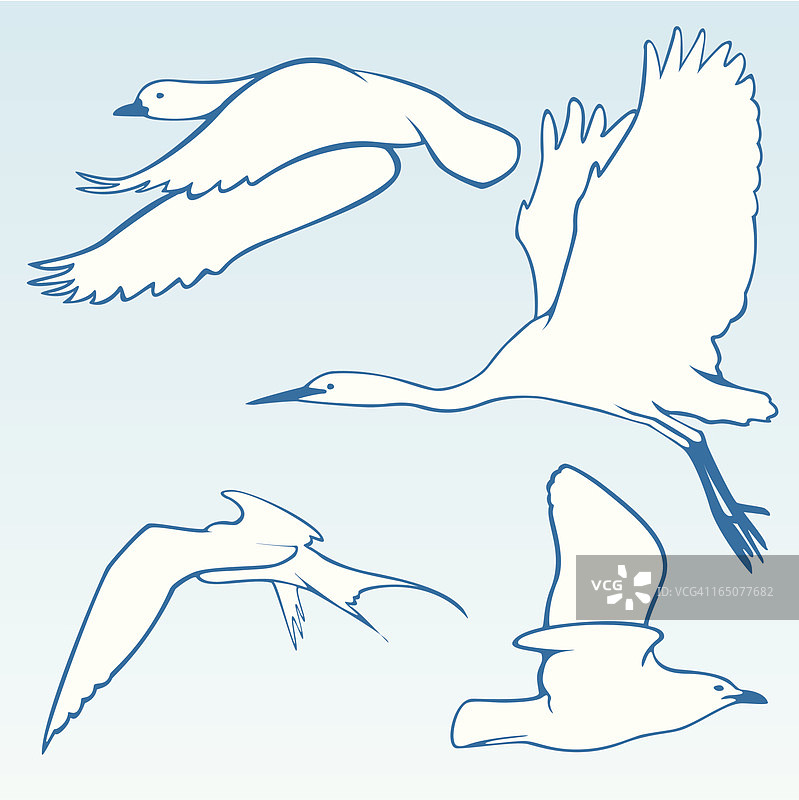 飞鸟图案图片素材