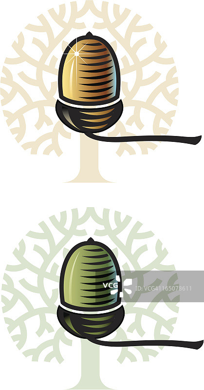 橡子和树木图片素材