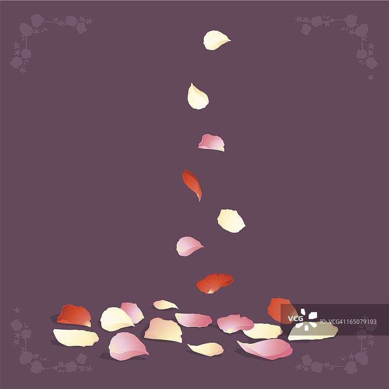 玫瑰花瓣图片素材