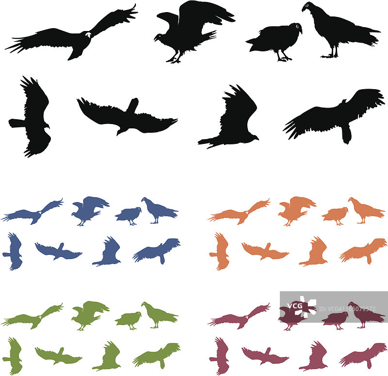 火鸡秃鹰剪影图片素材