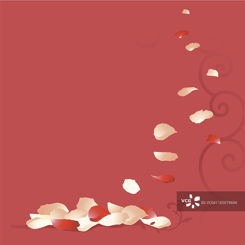 玫瑰花瓣图片素材