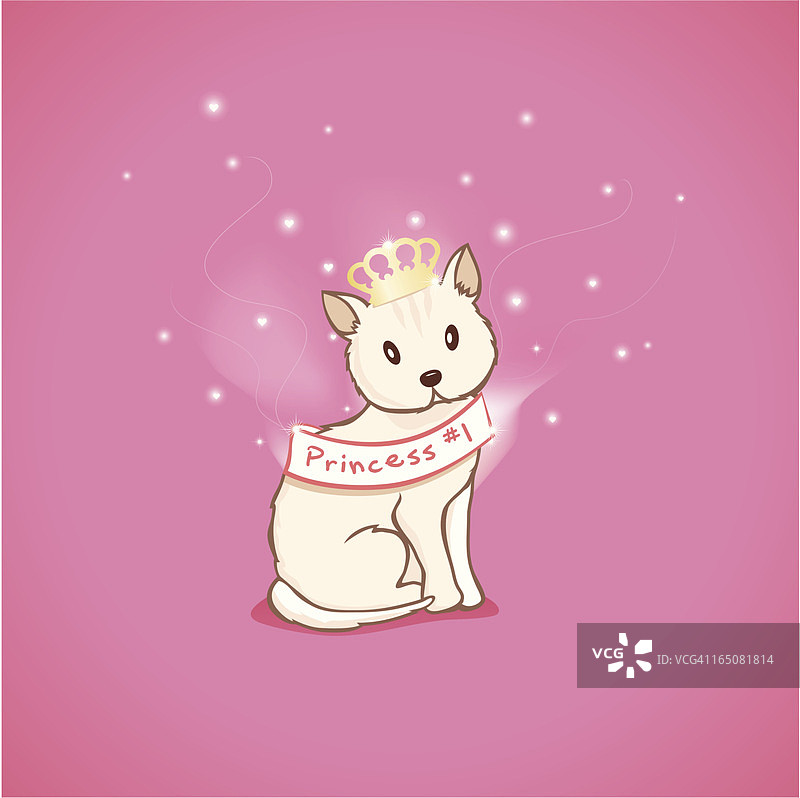 猫咪选美比赛图片素材