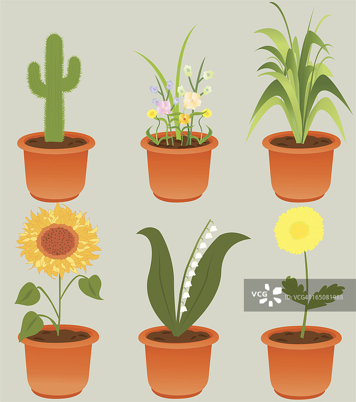 植物品种包图片素材